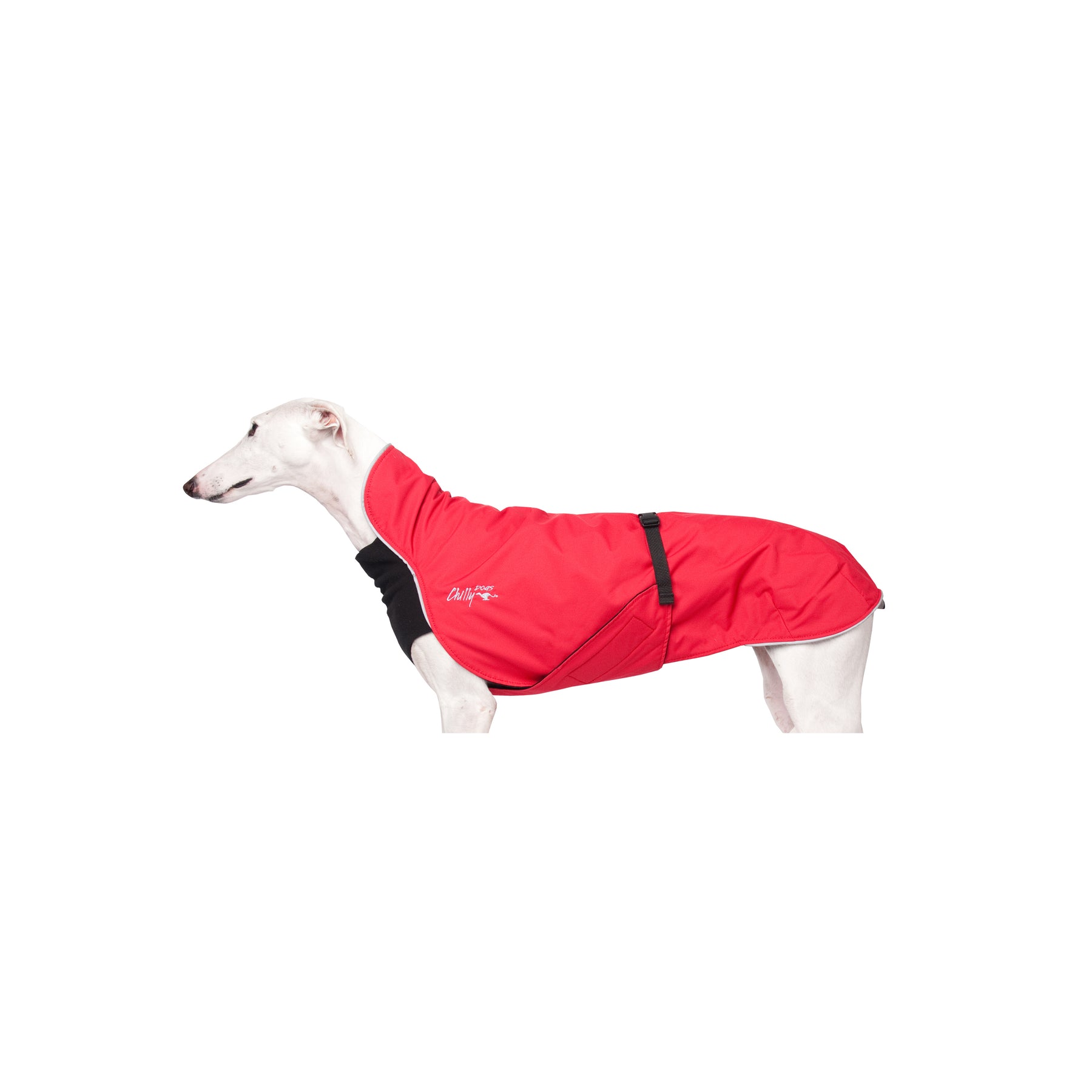 Hundemantel in rot für Windhunde von Chilly Dogs. Geprägt von einem Stilvollen Design, höchster Schutz und Erfahrung und Expertise.