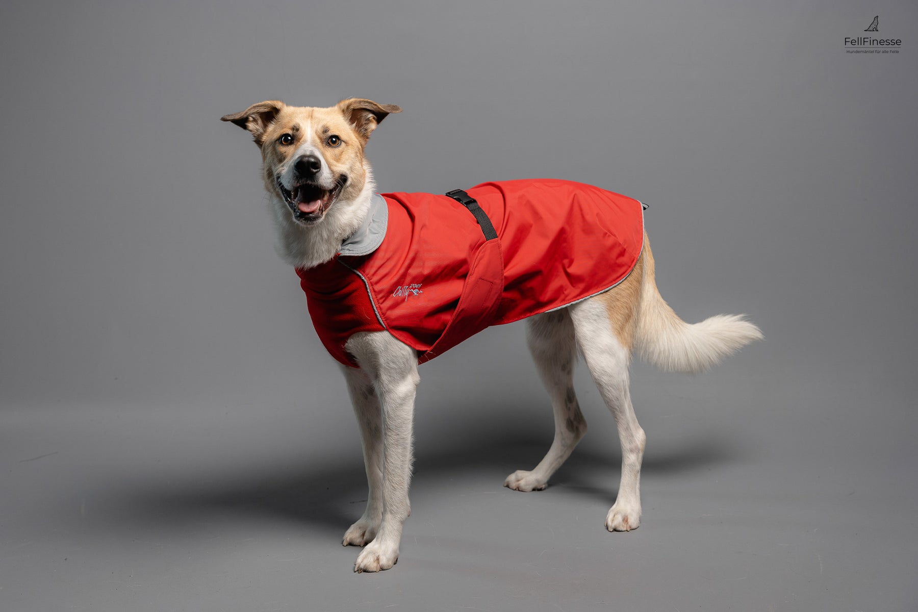 Harbour Slicker - Der Perfekte Schutz bei Wind und Regen