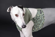 Greyhound mit Kühlweste von Paikka_GreenLeo_Tarnung