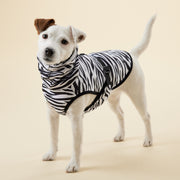 PAIKKA UV & Bug Shirt_Zebra_TShirt _Jack Russell