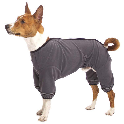 kleiner braun- weißer Hund, mit grauem Pullover, von Sofa Dog Wear