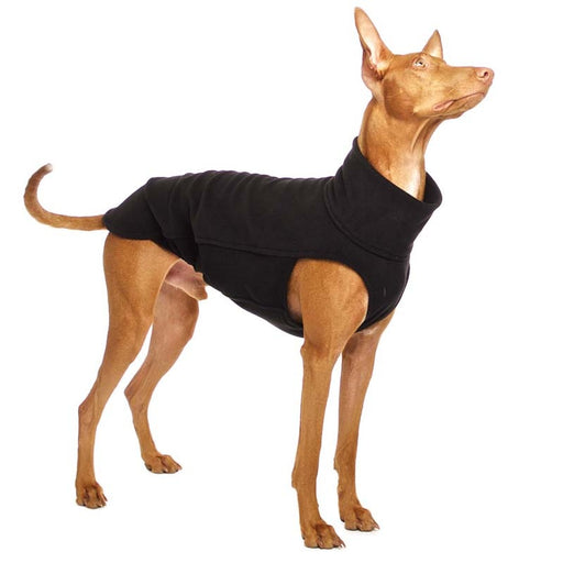 Podenco mit schwarzem Hundepullover von Sofa Dog Wear