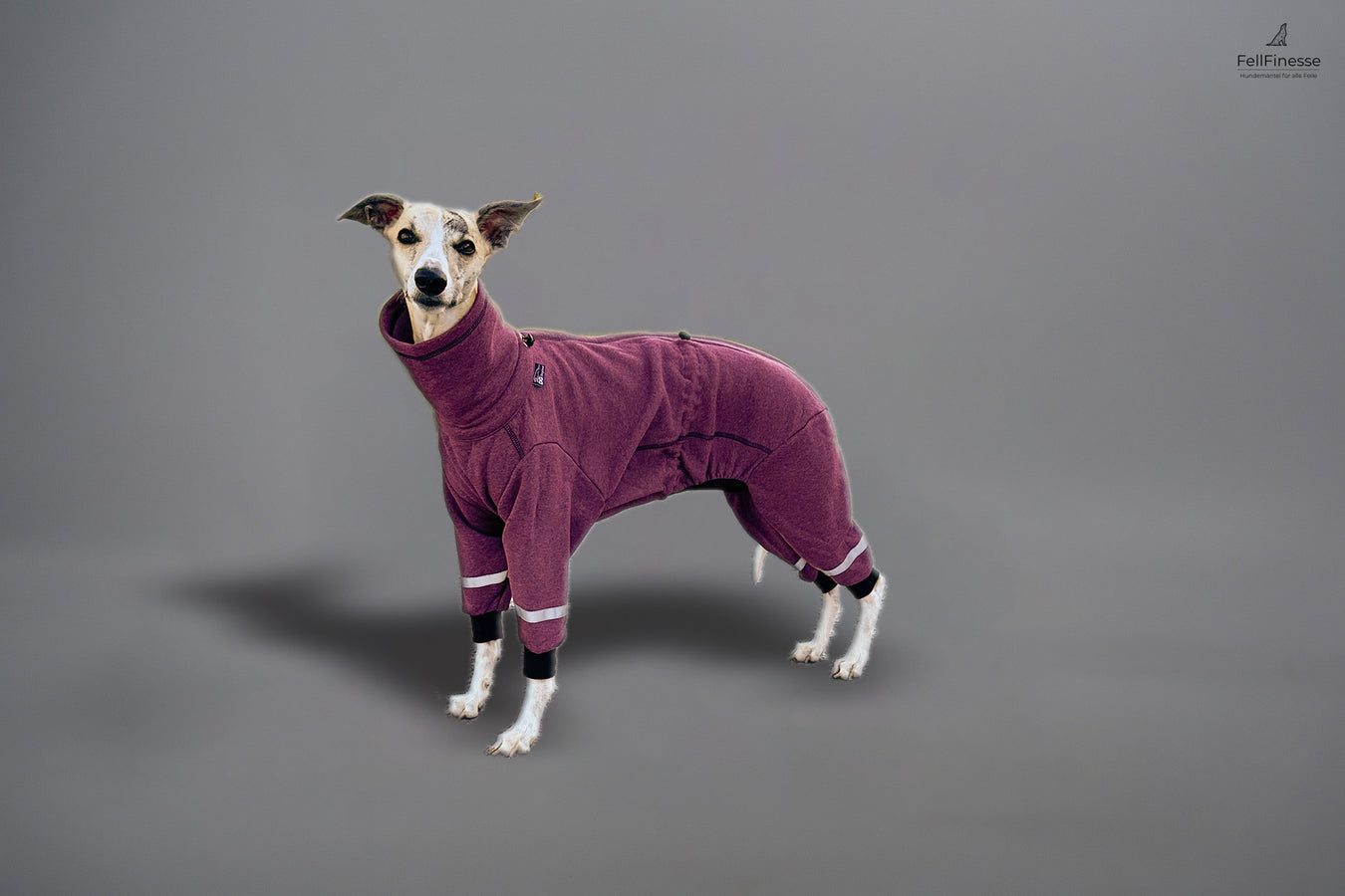 DG Dog Gear