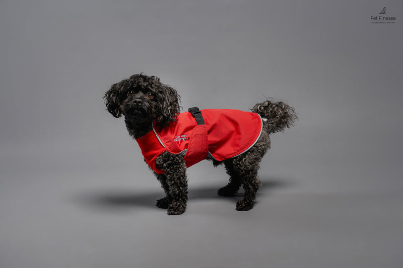 Harbour Slicker - Wind und Regen Standard kleine Größen