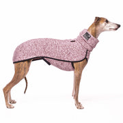 Windhund mit Hundepullover Kevin Jumper