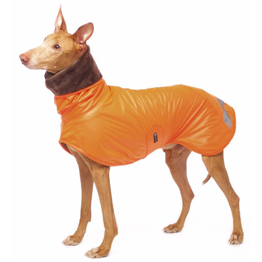 Basenji, mit warmen orangen Regenmantel, von Sofa Dog Wear