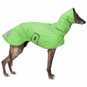 Whippet, mit grünem Regenmantel von Sofa Dog Wear