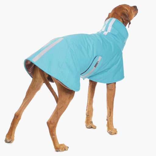 River Ridgeback, mit blauem Softshellwintermantel , von Sofa Dog Wear