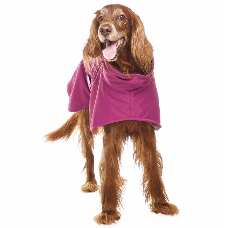 brauner Hund, mit lila Softshellwintermantel , von Sofa Dog Wear
