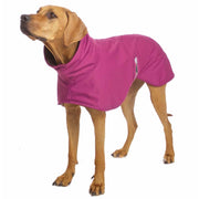 brauner Hund, mit lila Softshellwintermantel , von Sofa Dog Wear