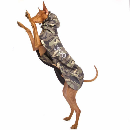 Windhund mit Wind und Regenmantel Green Camo, Manuel Vol4, von Sofa Dog Wear