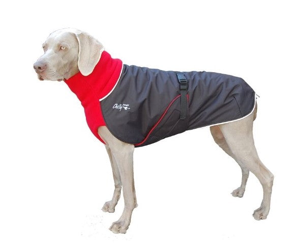 Weimaraner, mit schwarz-rotem Chilly Dogs, Wintermantel