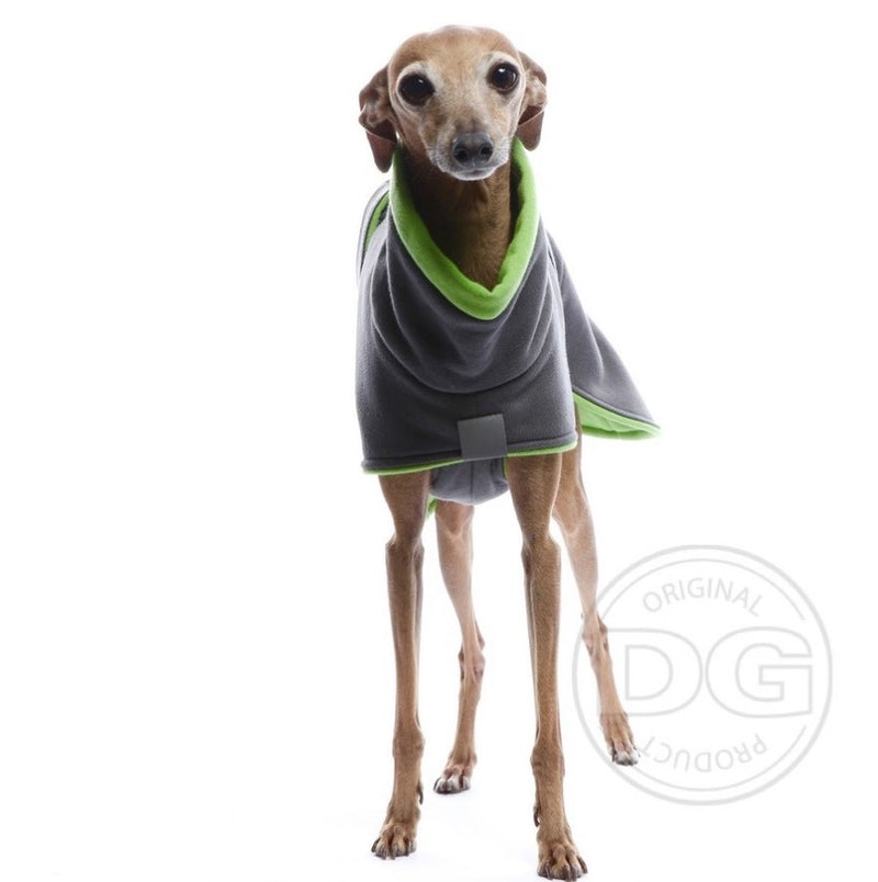 italienischer Windspiel, mit grauer Baumwolljacke, von DG Dog Gear