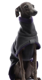 Italienischer Windspiel, mit grauer Baumwolljacke, von DG Dog Gear