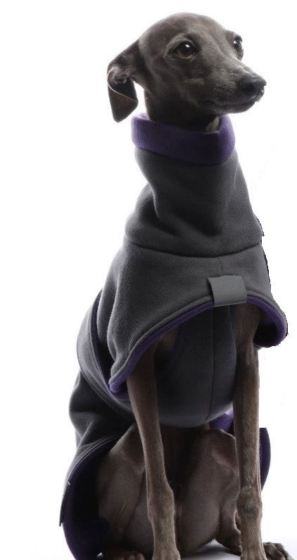 Italienischer Windspiel, mit grauer Baumwolljacke, von DG Dog Gear