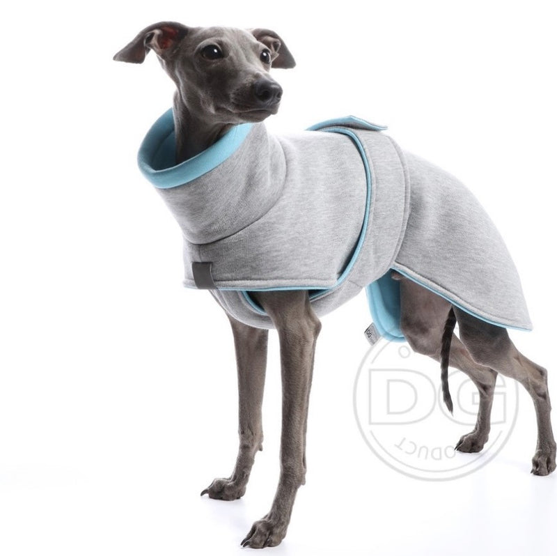 Whippet Welpe, mit grauer Baumwolljacke, von DG Dog Gear