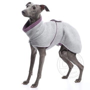 Whippet Welpe, mit grauer Baumwolljacke, von DG Dog Gear
