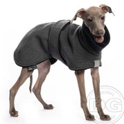 Whippet Welpe, mit grauer Baumwolljacke, von DG Dog Gear