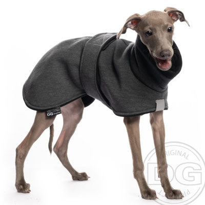 Whippet Welpe, mit grauer Baumwolljacke, von DG Dog Gear