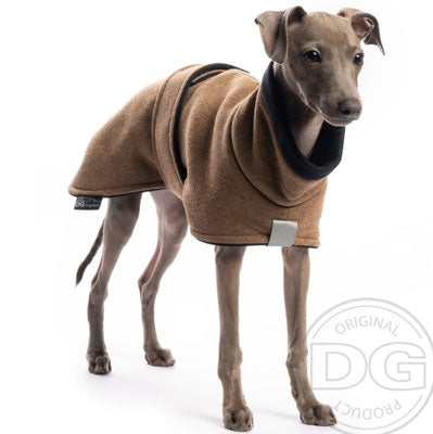 Whippet Welpe, mit brauner Baumwolljacke, von DG Dog Gear