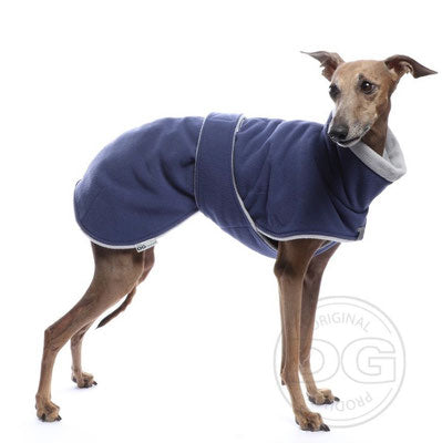 Whippet, mit blau-weißer Soft Fleece Jacke, von DG Dog Gear