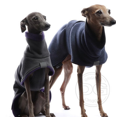 zwei italienische Windspiele, mit blauer und grauer Baumwolljacke, von DG Dog Gear