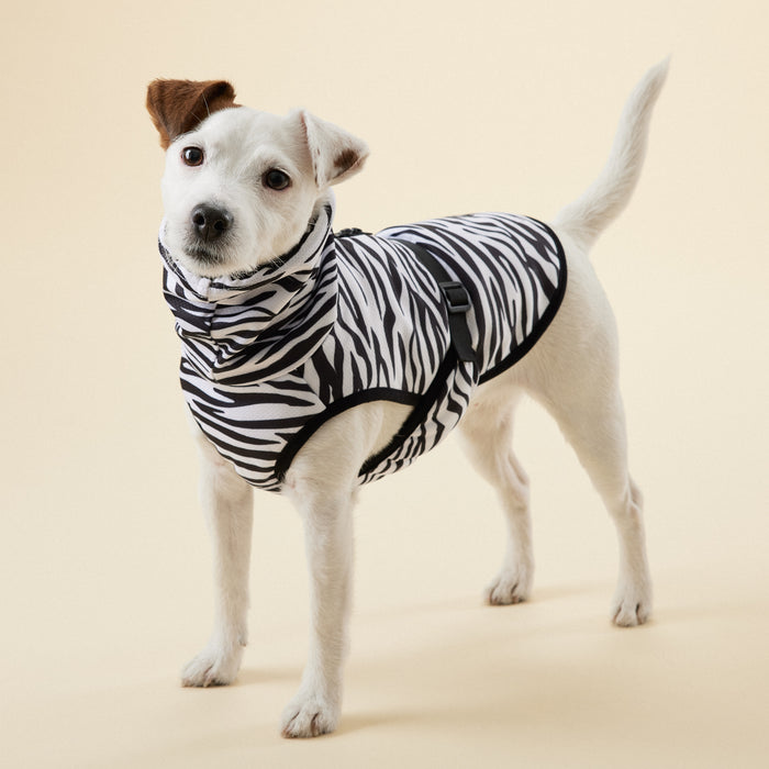 PAIKKA UV & Bug Shirt_Zebra_TShirt _Jack Russell