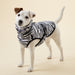 PAIKKA UV & Bug Shirt_Zebra_TShirt _Jack Russell
