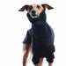 Whippet, mit schwarzem Sweatshirt, von DG Dog Gear