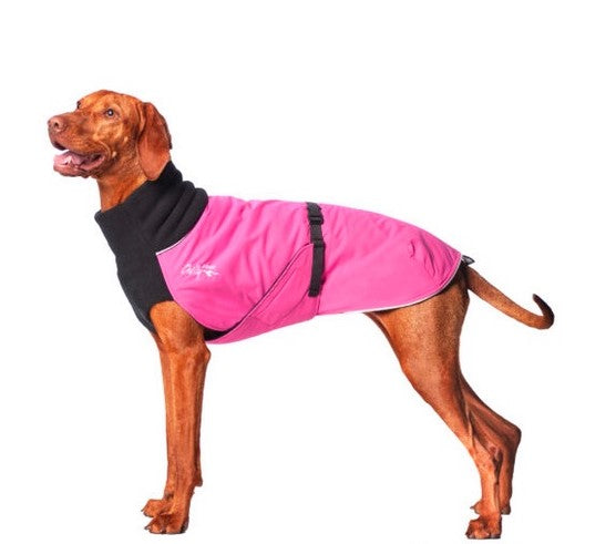 Jagdhund, mit pink-schwarzem Wintermantel, von Chilly Dogs