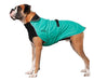 Boxer Hund mit grünen Regenmantel von Chilly Dogs