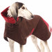 Saluki, mit weinrotem Regenmantel von Sofa Dog Wear