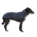 schmaler, schwarzer Hund mit Hundepullover Kevin Jumper von Sofa Dog Wear