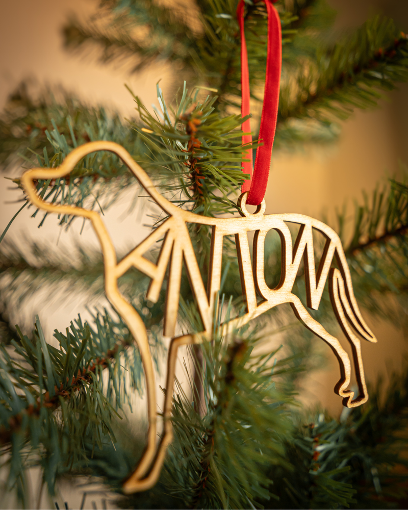 Personalisierter Hundeanhänger aus Holz