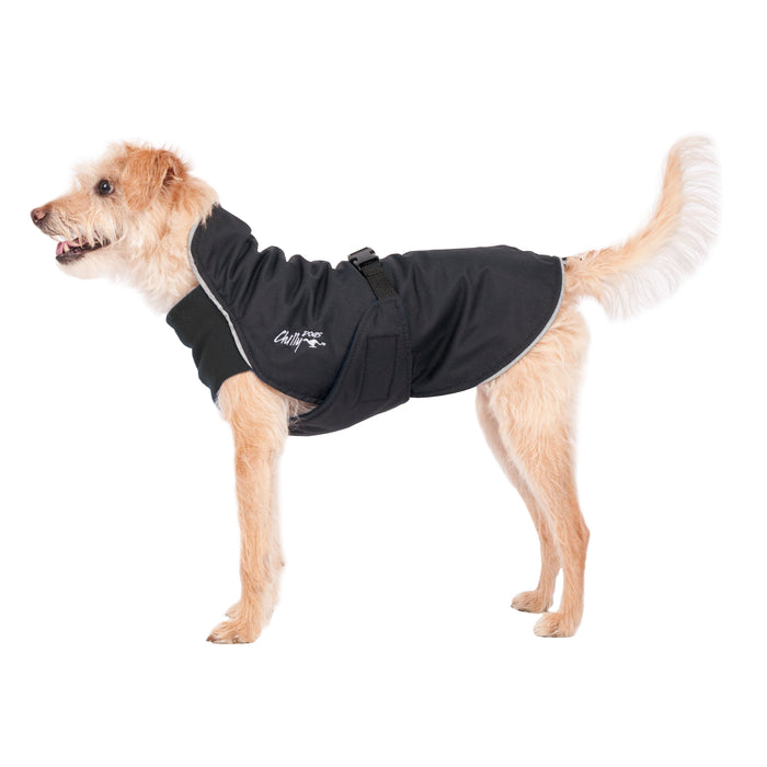 Terrier mit schwarzen Regenmantel von Chilly Dogs