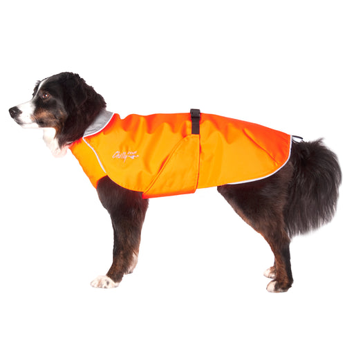 Appenzeller Hund mit orangen Harbour Slicker-Wind und Regen von Chilly Dogs