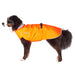 Appenzeller Hund mit orangen Regenmantel von Chilly Dogs