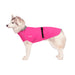 Husky mit pinken Regenmantel von Chilly Dogs