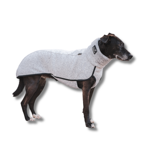 schmaler, schwarzer Hund mit Hundepullover Kevin Jumper von Sofa Dog Wear