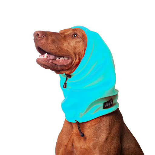 Jagdhund, mit blauem Kopf- und Ohrenschutz, von Chilly Dogs