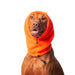 Jagdhund, mit orangem Kopf- und Ohrenschutz, von Chilly Dogs