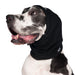 Deutsche Dogge, mit schwarzem Kopf- und Ohrenschutz, von Chilly Dogs