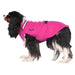 Kleiner Hund, mit pinkem Hundepullover von Chilly Dogs