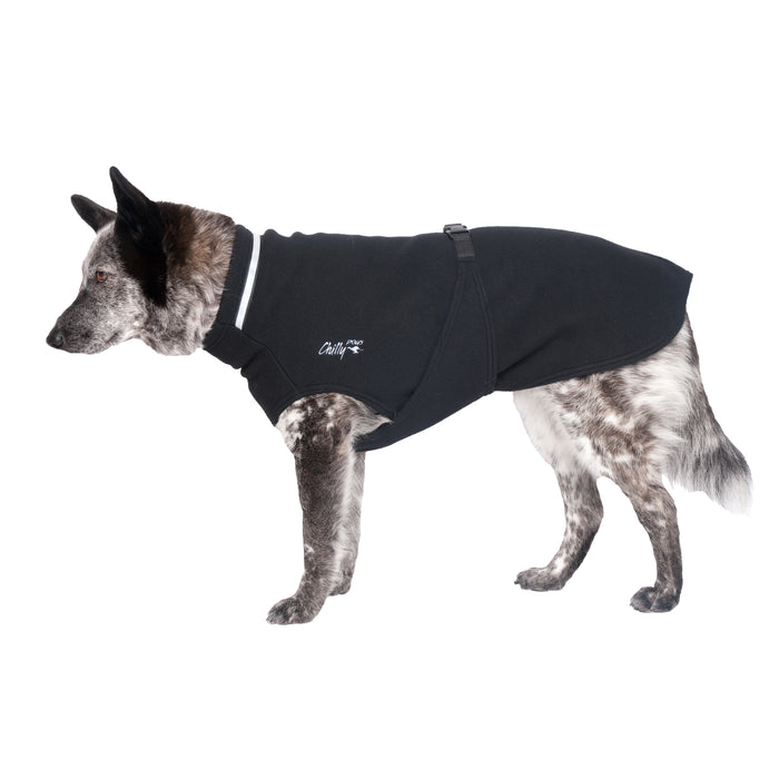 Grau-weißer Hund, mit schwarzem Hundepullover von Chilly Dogs