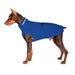 Dobermann, mit blauem Hundepullover von Chilly Dogs