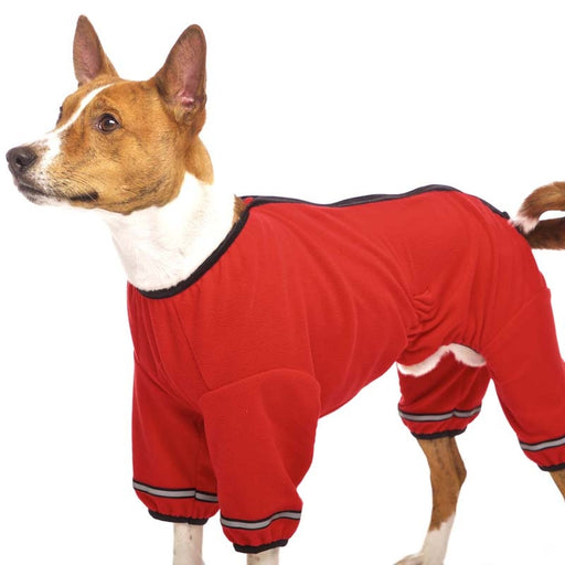 kleiner braun- weißer Hund, mit rotem Pullover, von Sofa Dog Wear