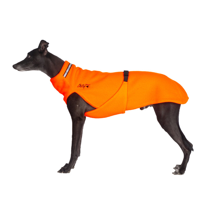 Whippet, mit orangem Hundepullover von Chilly Dogs
