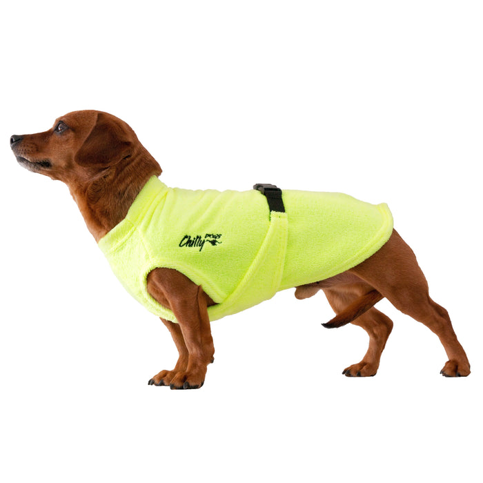 Brauner Hund mit gelben Bademantel -Long&Lean von Chilly Dogs