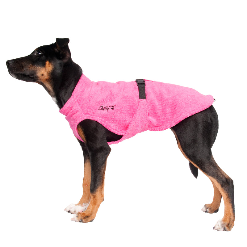 schwarz brauner Hund mit Rosa Bademantel von Chilly Dogs
