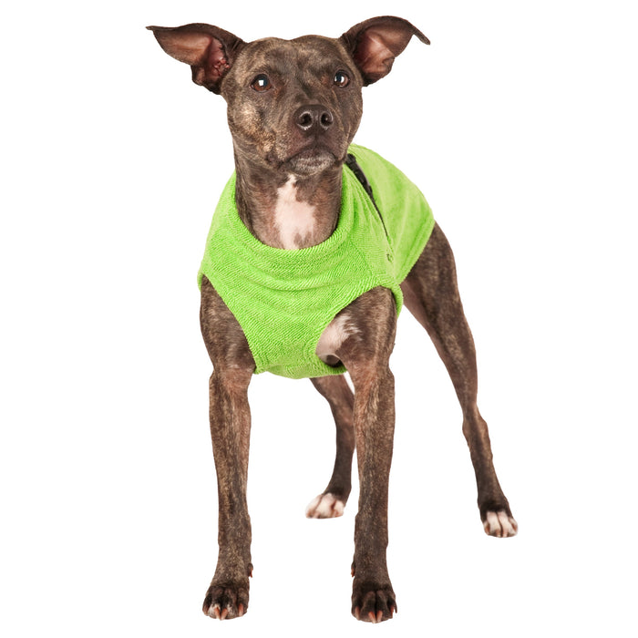 brauner Hund mit grünen Bademantel von Chilly Dogs